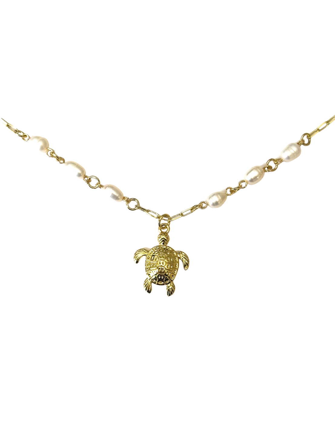 Collar tortuga río