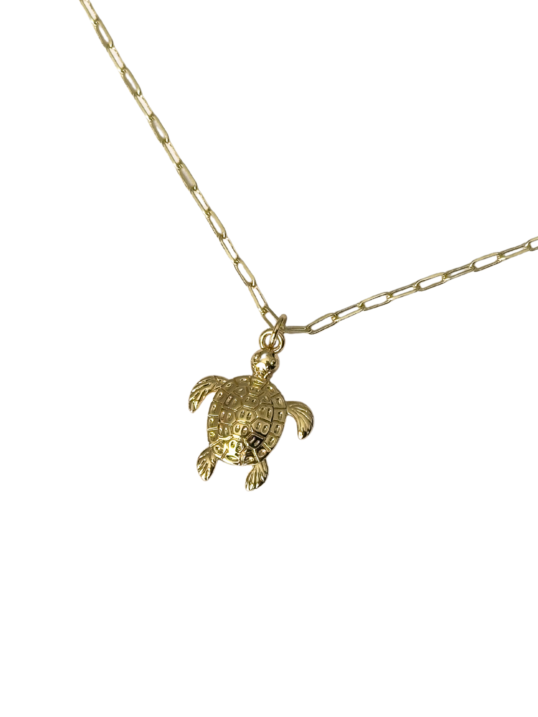 Collar Ocean