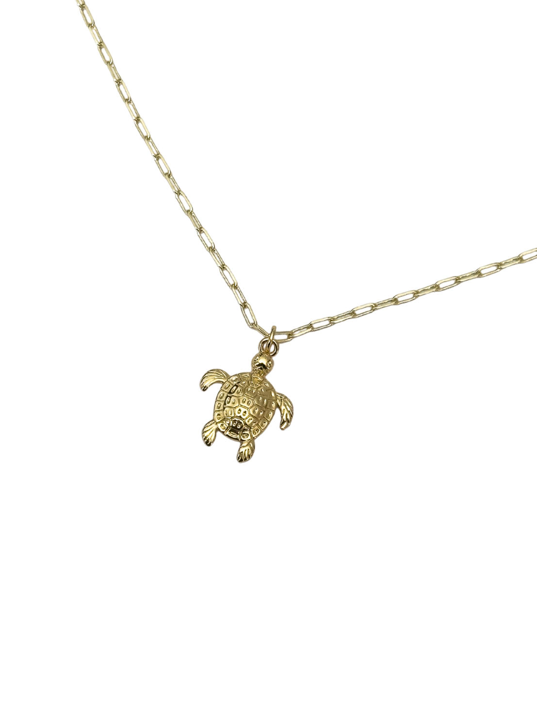 Collar Ocean