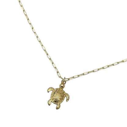 Collar Ocean