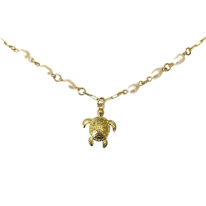 Collar tortuga río