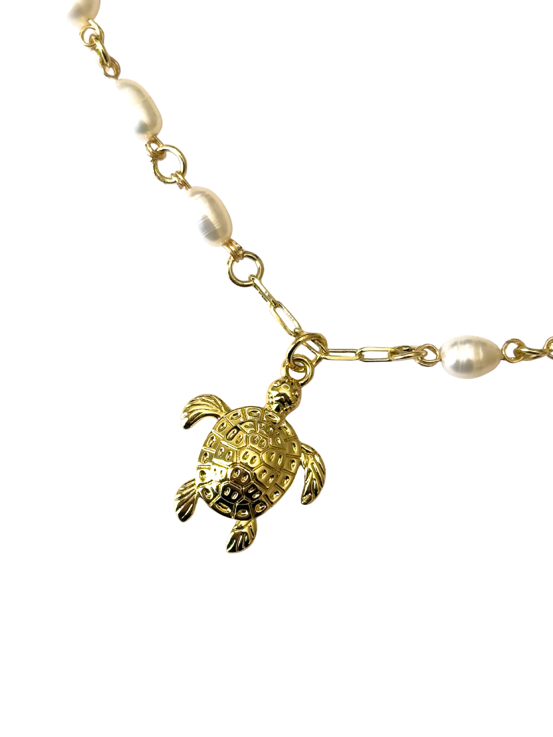 Collar tortuga río