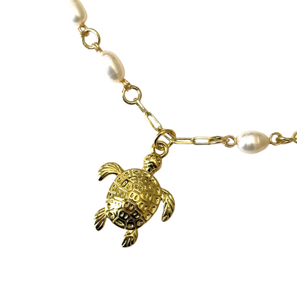 Collar tortuga río